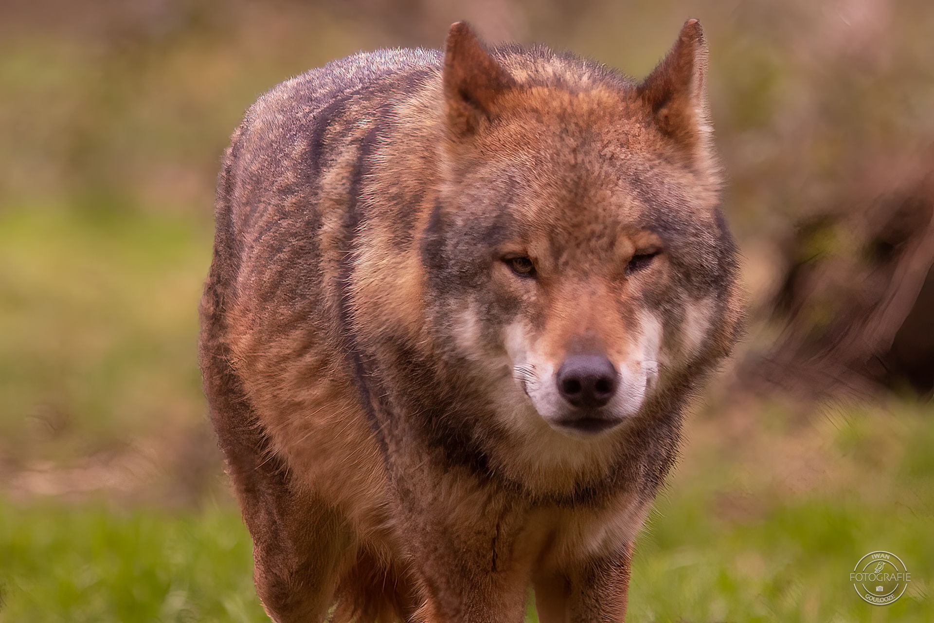 28 januari 2023 124300 1R2A7438 bewerkt